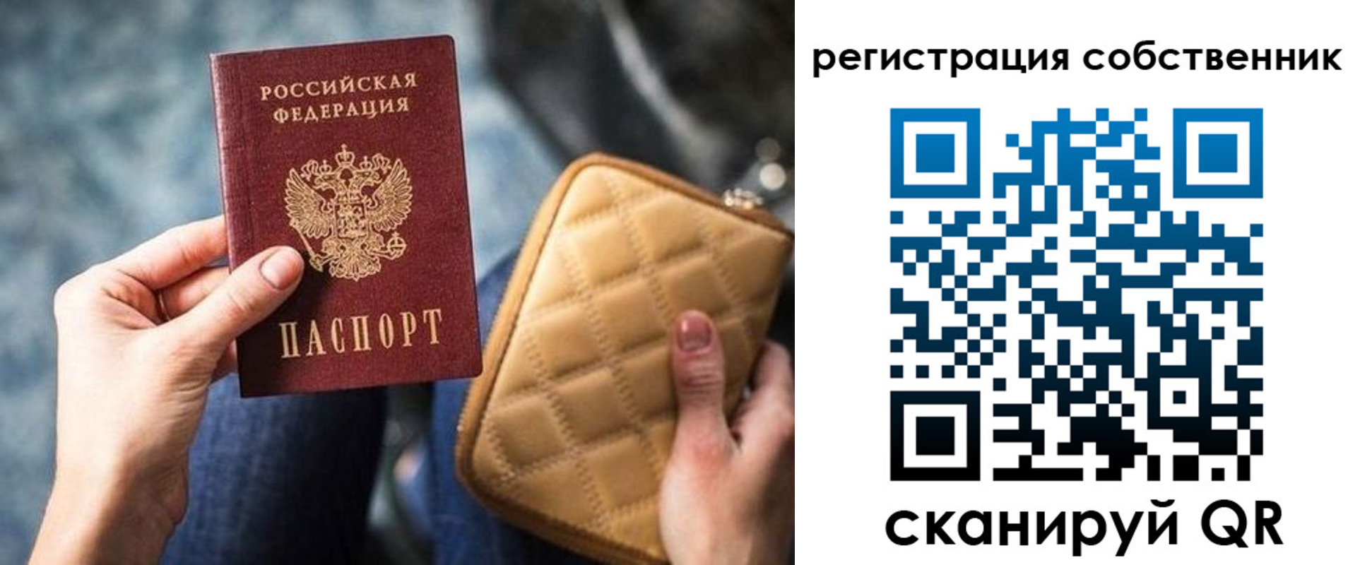 прописка в квартире в Курской области