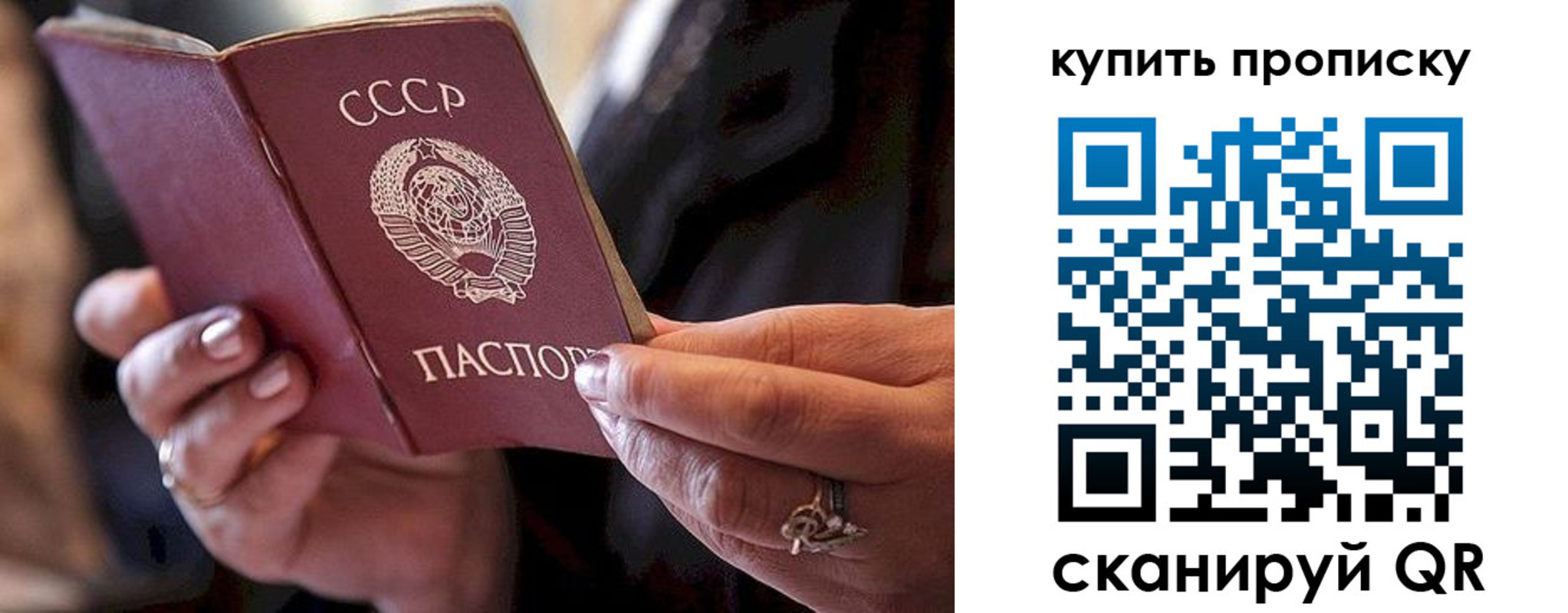 прописка в квартире в Курской области
